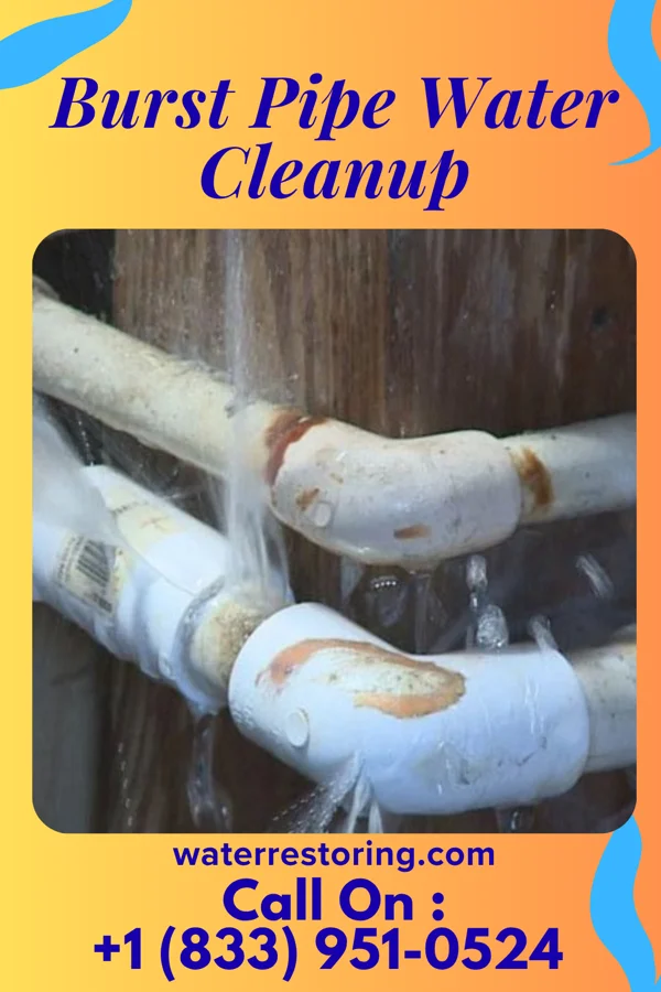 Burst Pipe Water Cleanup in Concord, NH
