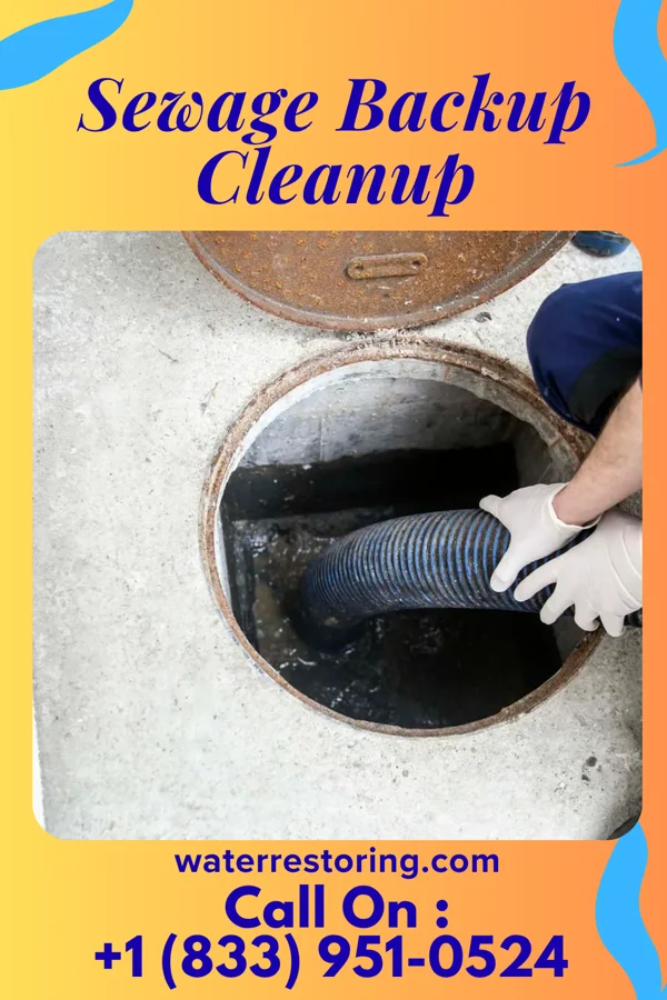 Sewage Backup Cleanup in Concord, NH