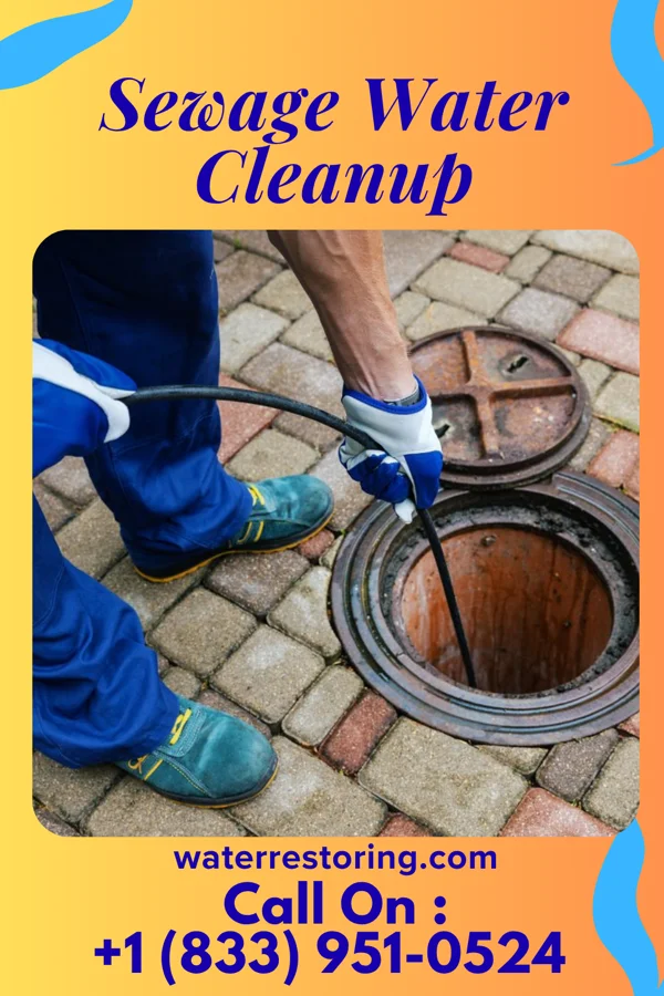 Sewage Water Cleanup in Concord, NH